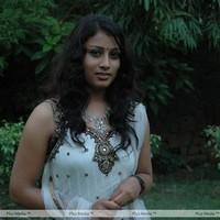 Actress Dharseni New Photo Stills | Picture 105897